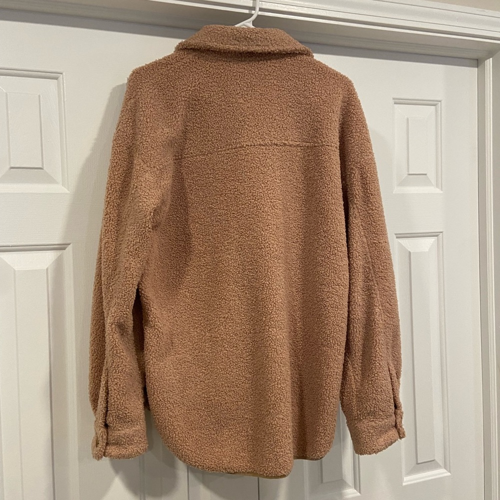 Teddy Shacket - image 4